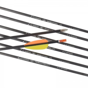 CX-7 ID4,2mm βέλη καθαρού άνθρακα με 2