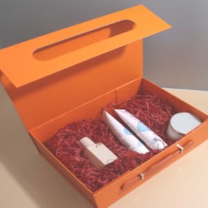 Φορητό πολυλειτουργικό κουτί συσκευασίας