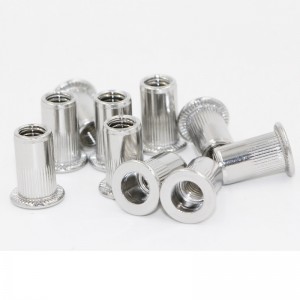 παξιμάδια με πριτσίνια με επίπεδη κεφαλή από ανοξείδωτο χάλυβα