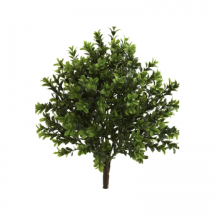 Πραγματικά παλαμάκια αφής(εσωτερικός&υπαίθριος)