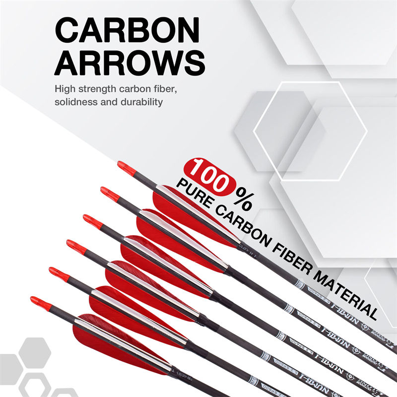 carbon arrows 13.jpg